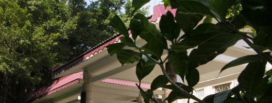 深圳石岩公学国际部高中网站