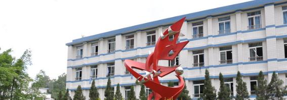攀枝花实验学校2021年排名