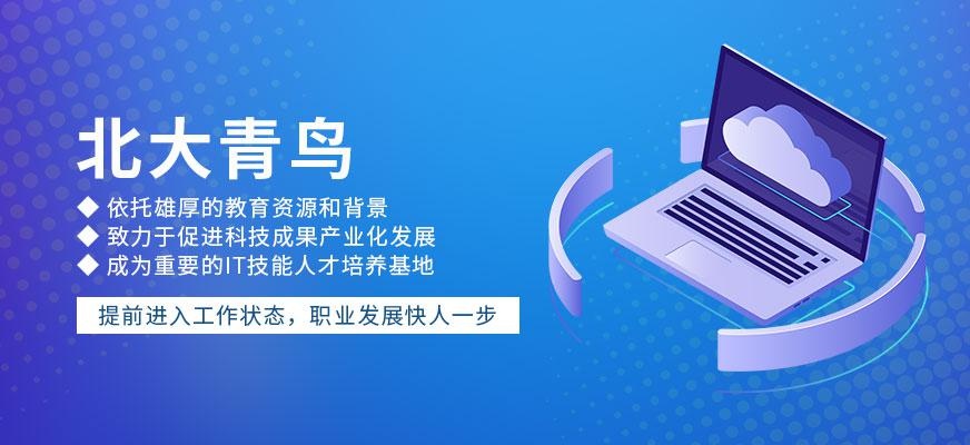 成都北大青鸟简介