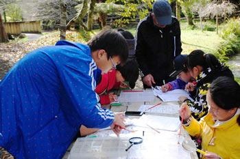 新西兰游学营