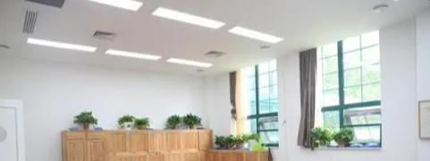 北京私立树人瑞贝学校初中部怎么样