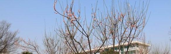 江苏武进高级中学2021年招生简章