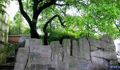 宜春市中学国际部