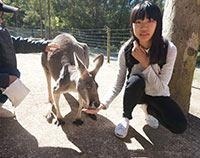 澳洲游学夏令营全天游览华纳电影世界