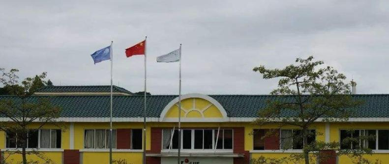 广州誉德莱国际学校高中部2020年招生计划