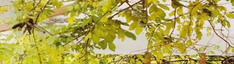 梧州技工学校2020年招生简章