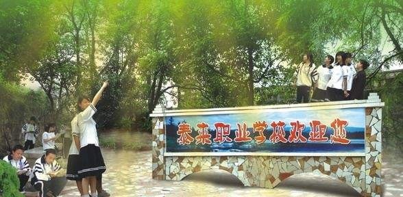 泰来2