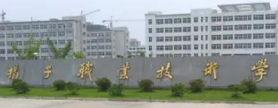 安徽扬子职业技术学院是大专还是中专(安徽扬子职业技术学院)