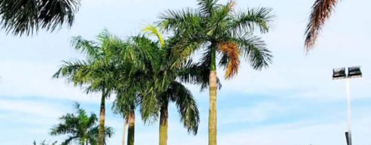 广州电子商务技工学校2020年招生办