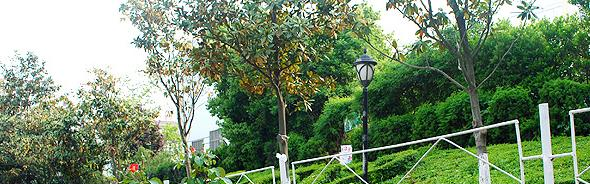 民办万博科技职业学院是几专