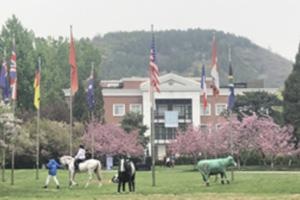 北京市私立汇佳学校