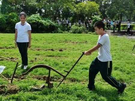 深圳枫叶国际学校
