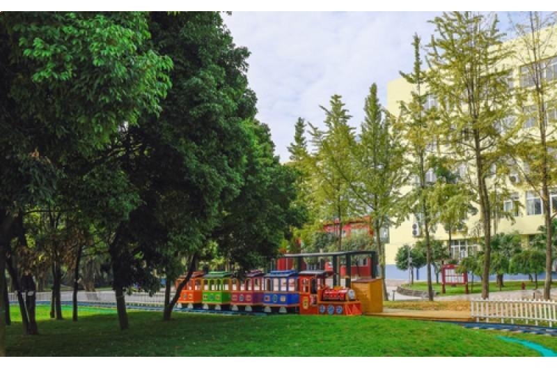 成都市龙泉驿区青苗学校 