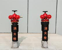 有理论没实操
