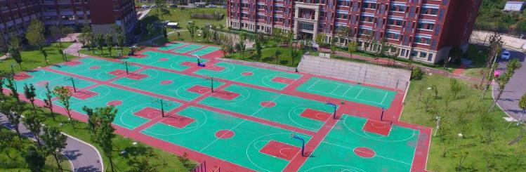 广元天立国际学校小学部网站