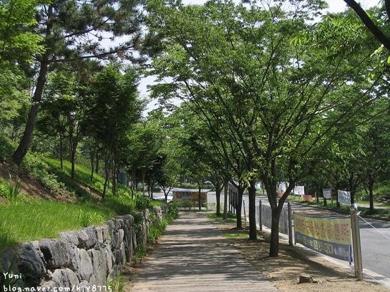 大邱加图立大学