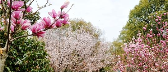江西生物科技职业学院2020年有哪些专业