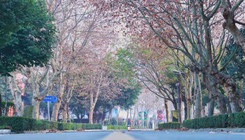 四川电影电视职业学院2022年招生办