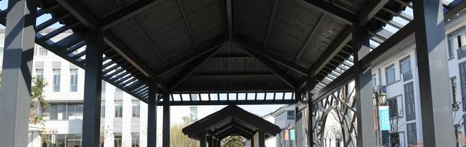 江苏沙溪高级中学网站