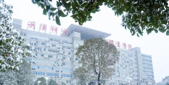 武汉城市职业学院7