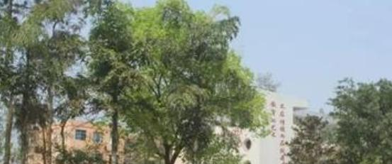 富顺第三中学网站