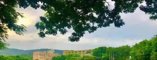 深圳康桥书院初中部2023年录取分数线2