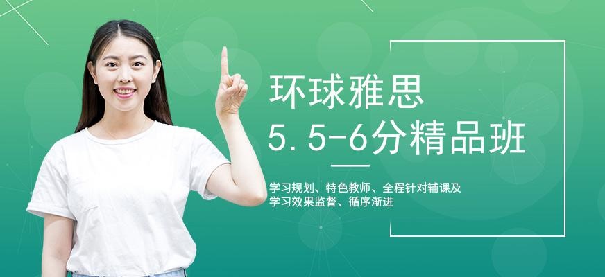 环球雅思vip培训配图