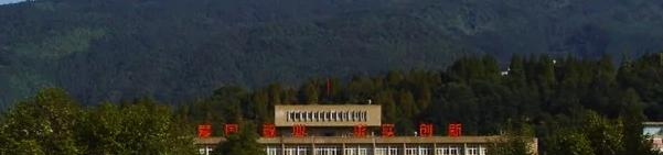 四川农业大学四川高考录取分数线汇总（2017-2021）