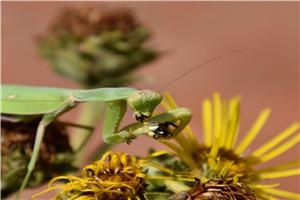 2022年东华理工大学在职研究生招生政策解读