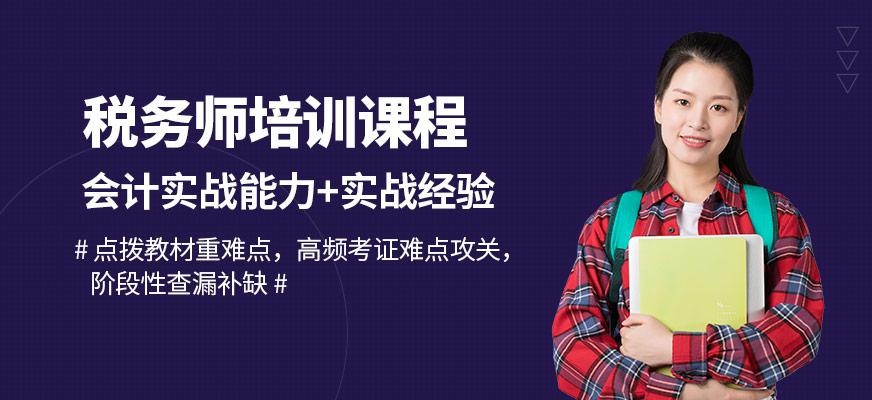 税务师培训课程