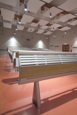 国际社会科学自由大学