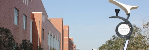 南京东山外国语学校网站