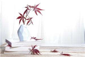 2022年长江大学在职研究生报名费是多少