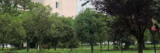 成都中医药大学附院针灸学校龙泉校区