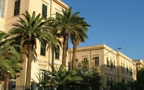 巴勒莫大学