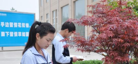 阜阳计算机学校