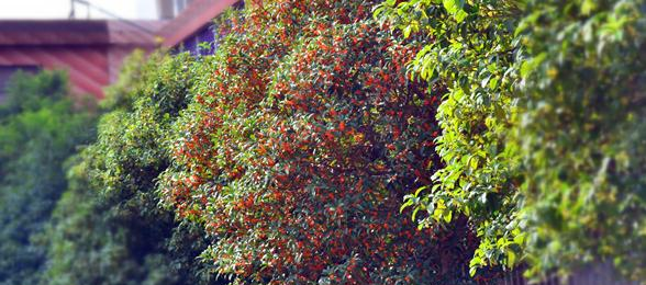 赣州育才职业中等专业学校