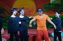 PEC慧德嘉源国际教育