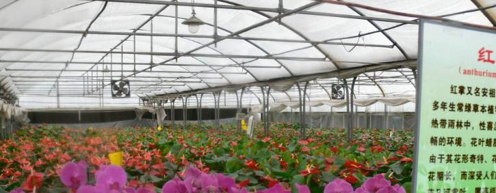 山西林业职业技术学院五年制大专