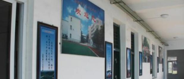大邑天宫庙镇学校网站 
