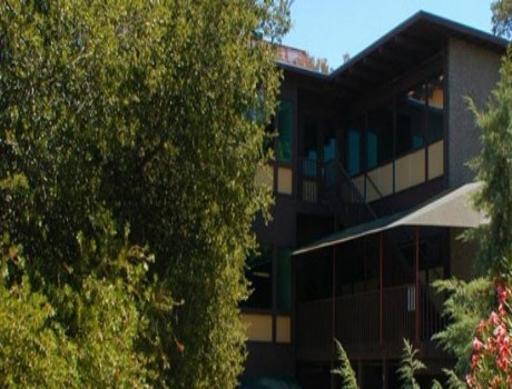 帕洛阿尔托大学