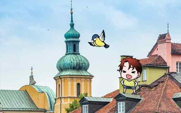 如何提高gre写作