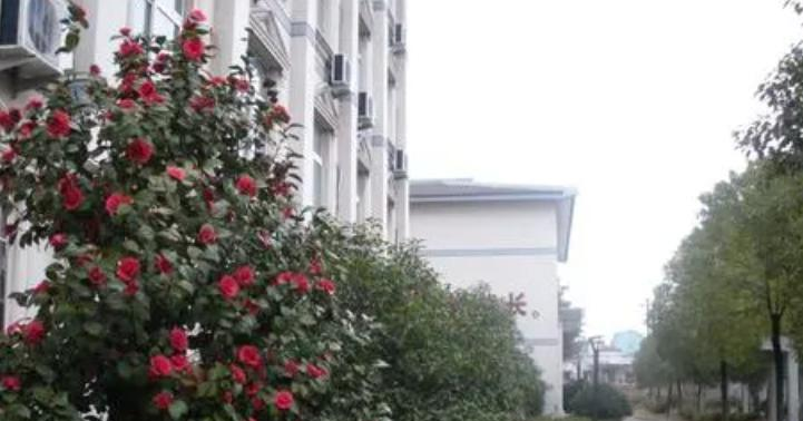 金华市成功学校