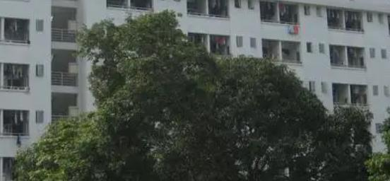 揭阳揭东区现代职校