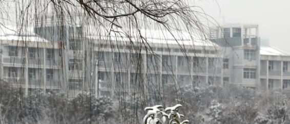 安徽商贸职业技术学院怎么样、好不好