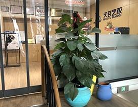 杭州天目艺校