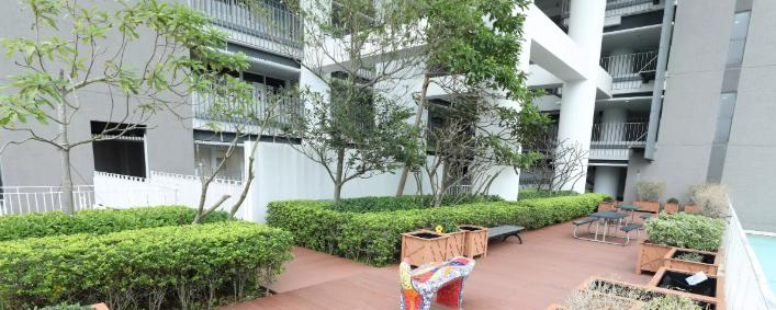 香港新加坡国际学校网站