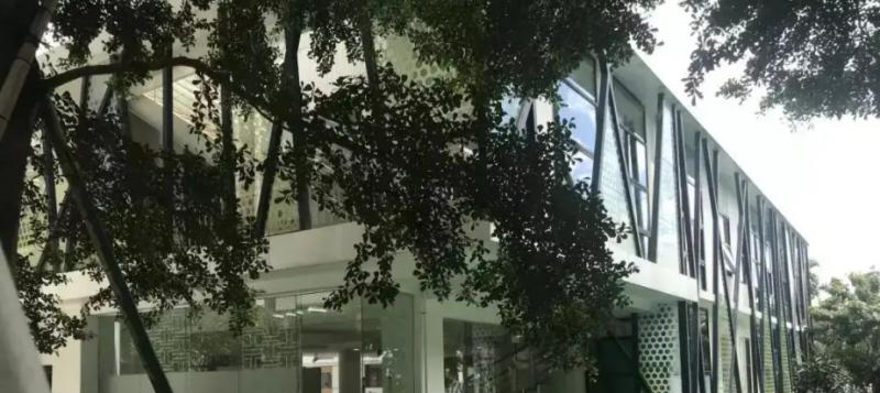 深圳曦城协同国际学校靠谱吗2