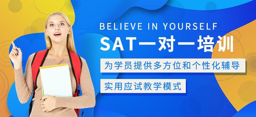 北京sat一对一培训