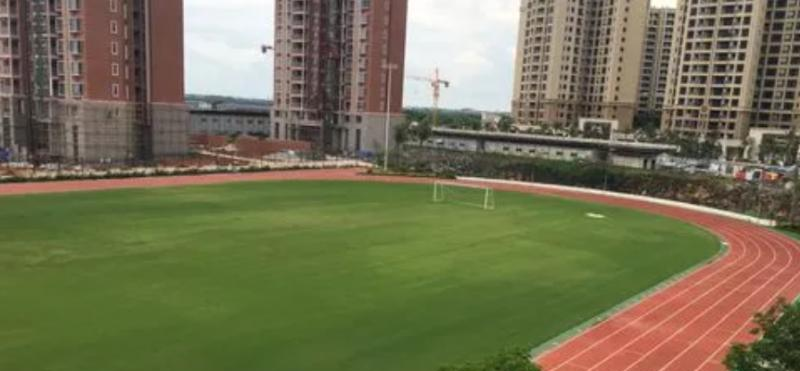 2023海南华侨中学观澜湖学校招生简章